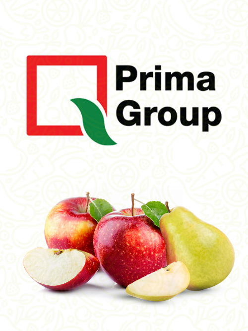 Prima Group 2