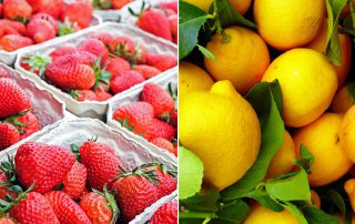 Fresh Market Fruit Suppliers