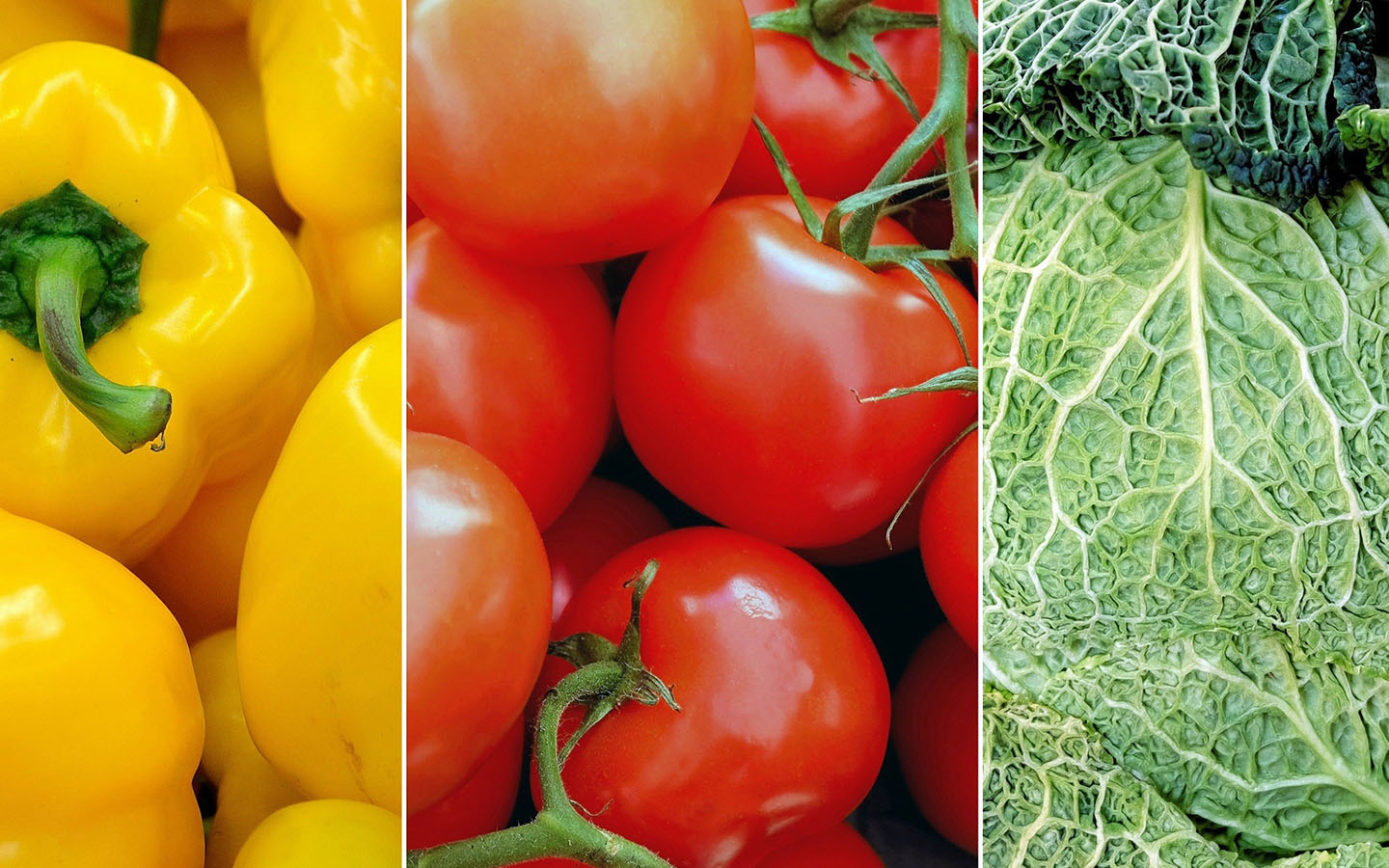 Fresh Market Vegetable Suppliers