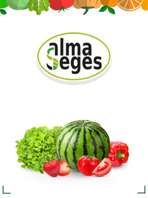 Alma Seges - Fresh Market Catalog Online