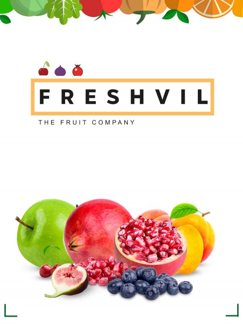 Freshvil - Fresh Market Catalog Online