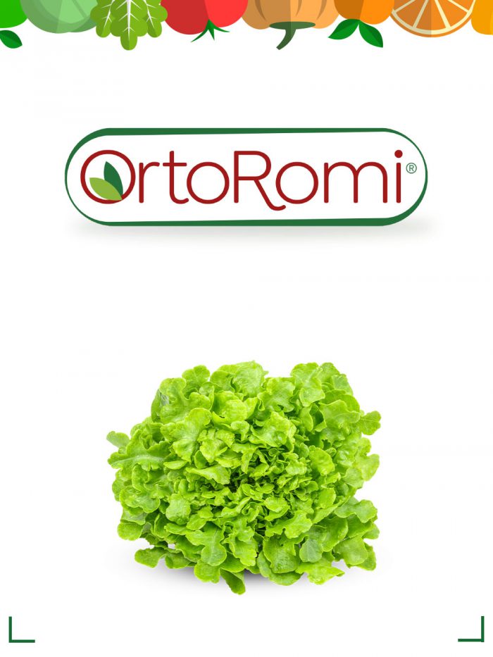 Ortoromi - Fresh Market Catalog Online