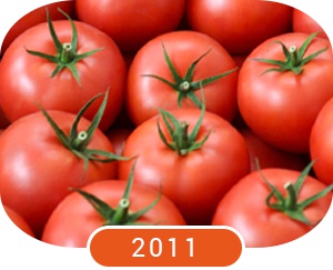 several red tomimaru muchoo tomatoes